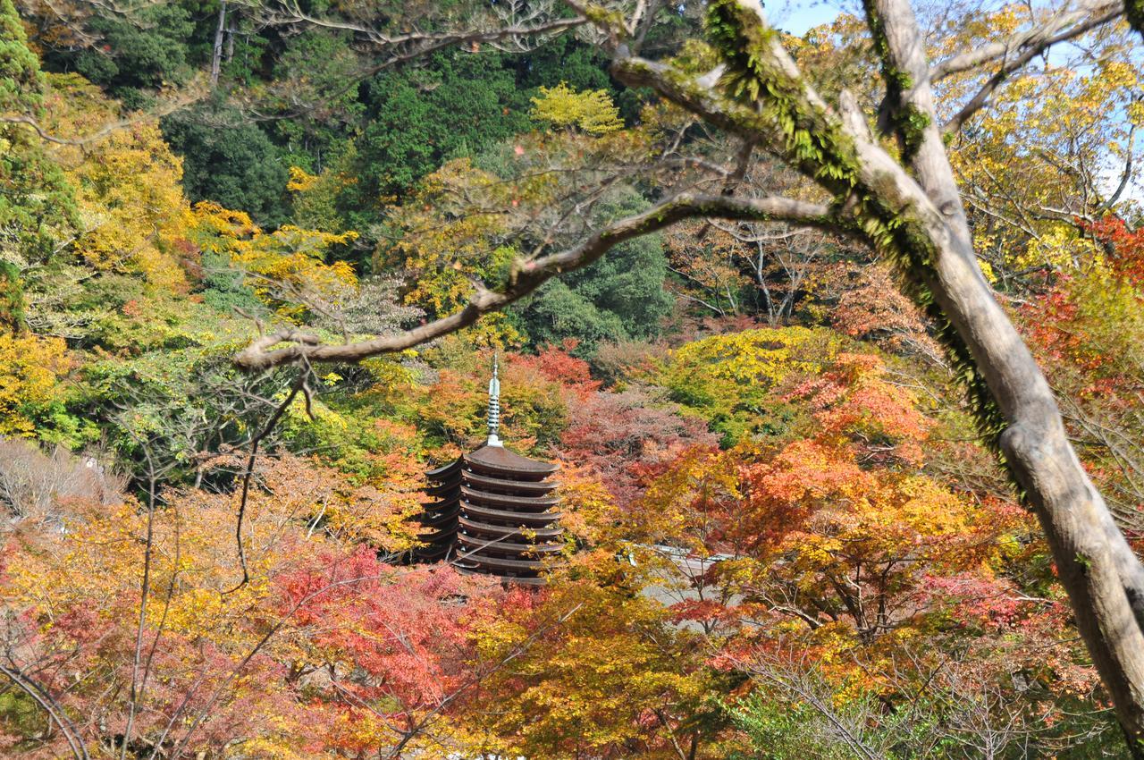 Asuka Guest House Exterior foto
